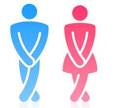 Dia 14 de março marca o ‘Dia Mundial da Incontinência Urinária’ e especialista reforça a importância da visita ao urologista para homens e mulheres