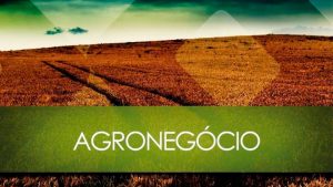 It’sSeg investe R$ 15 milhões para ampliar a oferta de produtos e serviços no setor agro