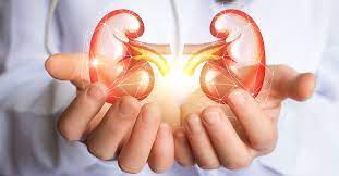 Doença Renal Crônica: nefrologista alerta para a importância da prevenção