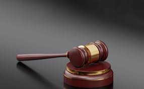 Live patrocinada pela Pottencial aborda principais pontos da Nova Lei de Licitações