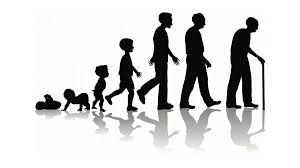 Relação entre a despesa assistencial de jovens e idosos poderá passar de 6 vezes até 2031