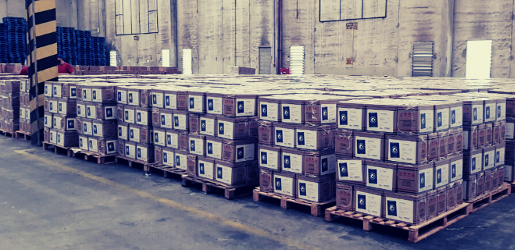 Sincor-SP e Sindseg SP iniciam distribuição da Campanha Cesta Solidária