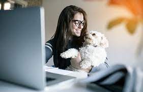 Itaú Personnalité lança seguro que inclui implantação de microchip em cães e gatos