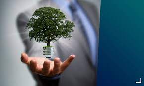 BB Seguros divulga resultados da plataforma Broto e anuncia parcerias com foco na sustentabilidade