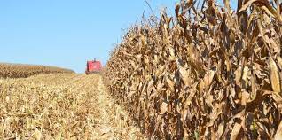 Seguro preserva patrimônio de agricultores