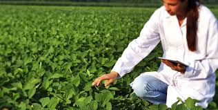 Relatório da Swiss Re comprova os benefícios da natureza para a saúde