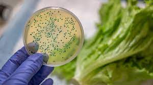 Risco de contaminação de Alimentos e Bebidas é negligenciado por grande parte das empresas