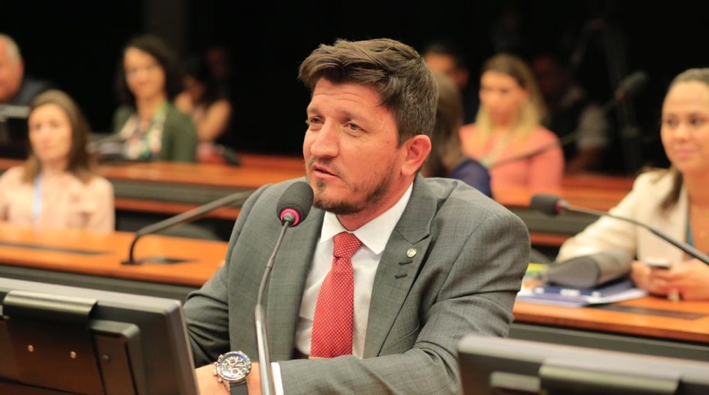 Planos de saúde para cães e gatos vão ter regulamentação contra fraudes