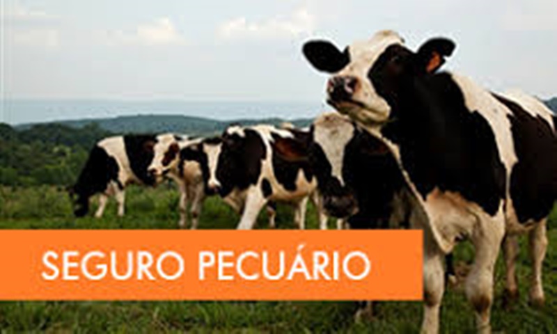 Programa de Subvenção traz novas oportunidades para a contratação de seguro pecuário em 2022