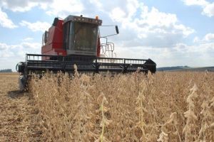 Uso intensivo de máquinas traz riscos durante a colheita