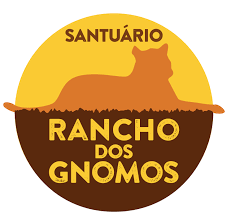 Porto transporta urso de Piracicaba até santuário no interior de São Paulo