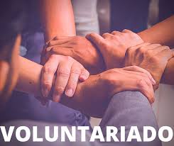 Programa de Voluntariado da Zurich soma 7 mil horas dedicadas e mais de 300 mil pessoas impactadas