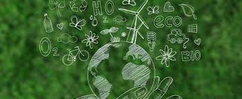 Empresas que se preocupam com o meio ambiente, que atuam com responsabilidade social e buscam melhorar suas práticas de governança são consideradas organizações ASG.