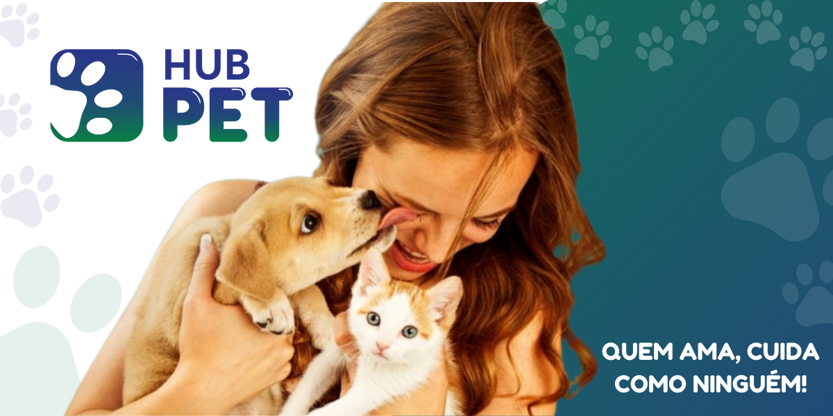 Hub Insurance firma parceria com a Visa e amplia oferta de benefícios no Brasil