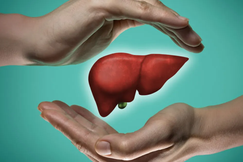 Transplante de fígado entra no Rol da ANS