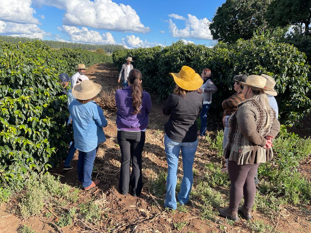 Insurtech inicia projeto piloto de seguro paramétrico para mulheres cafeicultoras