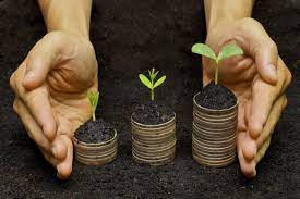 Seguradoras são pouco transparentes para divulgar critérios e práticas socioambientais