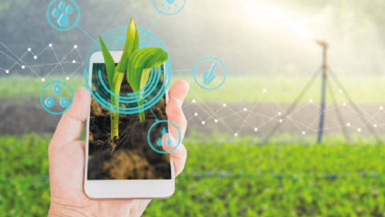 Alper realiza a 14ª aquisição e adquire startup de agronegócio