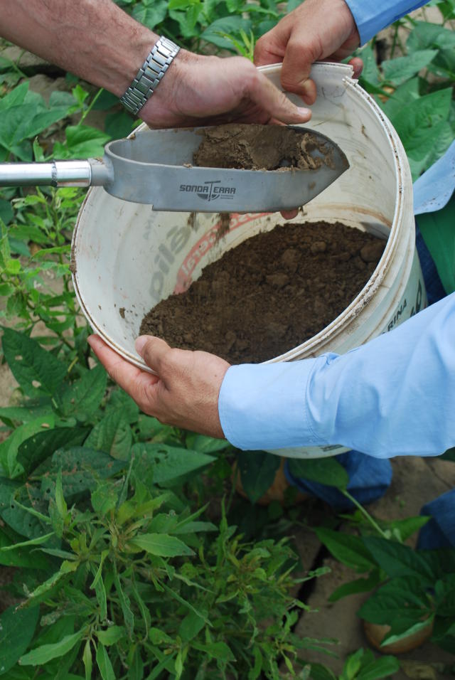 FF Seguros alerta sobre mudança para a elegibilidade de seguro agrícola