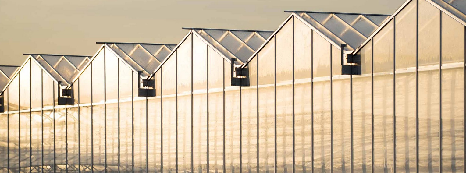 Riscos econômicos elevados dominam preocupações de curto prazo dos líderes empresariais do G20