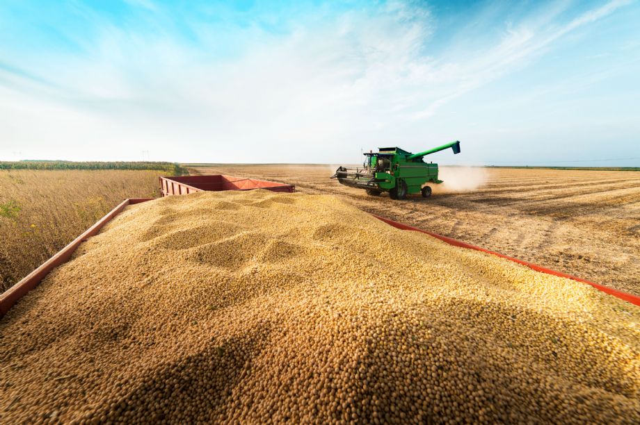 Clima atípico reitera a importância do seguro agrícola para proteger lavouras de grãos