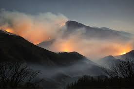 Crise do clima coloca o mercado de seguros em alerta