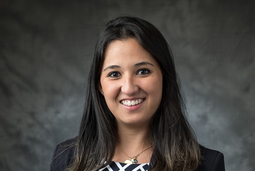 fitinsur desenvolve portal de gestão de seguros da linha de responsabilidades para HDI Global