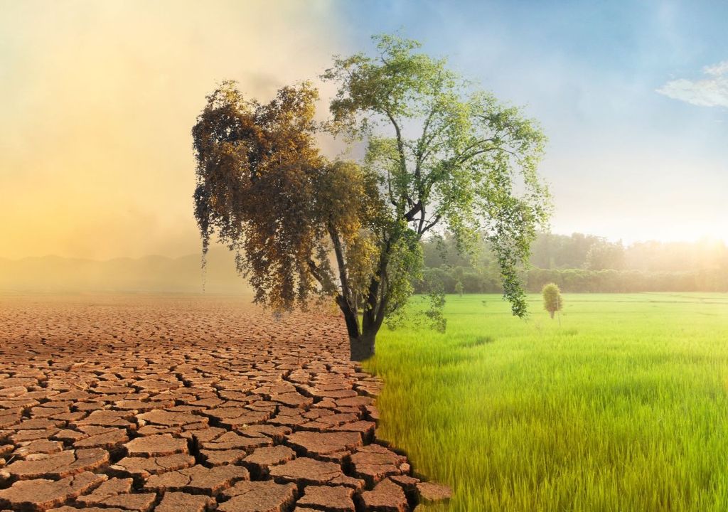 Novo Relatório da Aon destaca impactos climáticos no Brasil e no mundo no primeiro trimestre de 2024