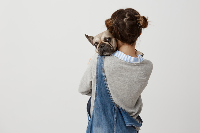 Seguro de vida pode ser aliado dos pets durante as férias de julho