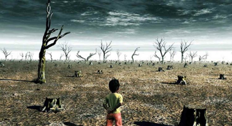 Setores segurador, financeiro e produtivo têm compromissos para aumentar resiliência com crise climática