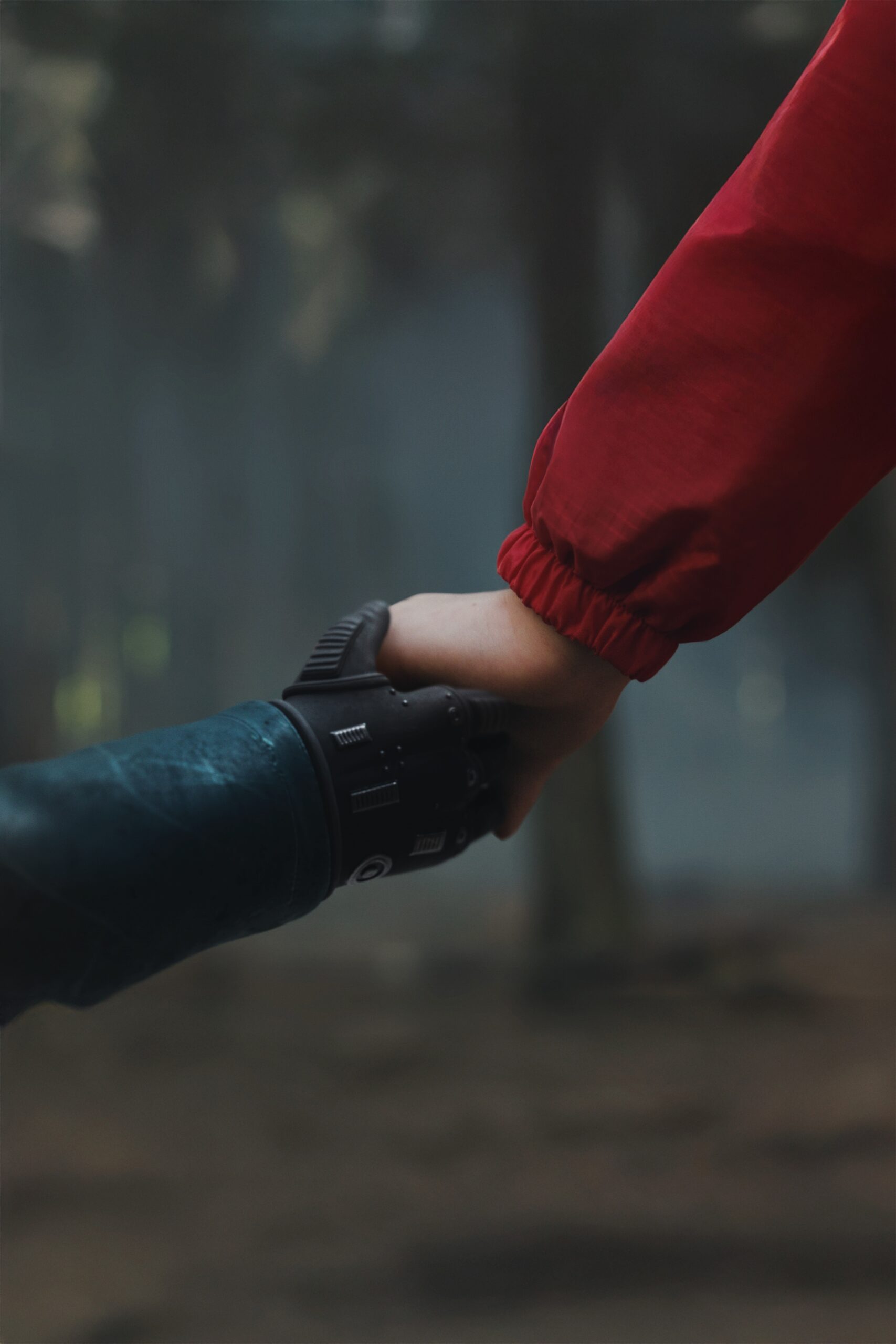 Campanha do Grupo Bradesco Seguros figura entre as 100 melhores de 2024 em lista global da Source Creative