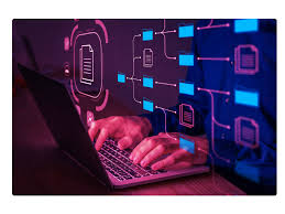 Especialistas da Coface debatem tomada de decisão baseada em dados na gestão de crédito