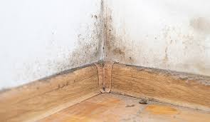 Casa com infiltrações: cuidados para se prevenir desse problema