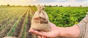 O setor segurador planta saúde financeira no campo (saiba como)