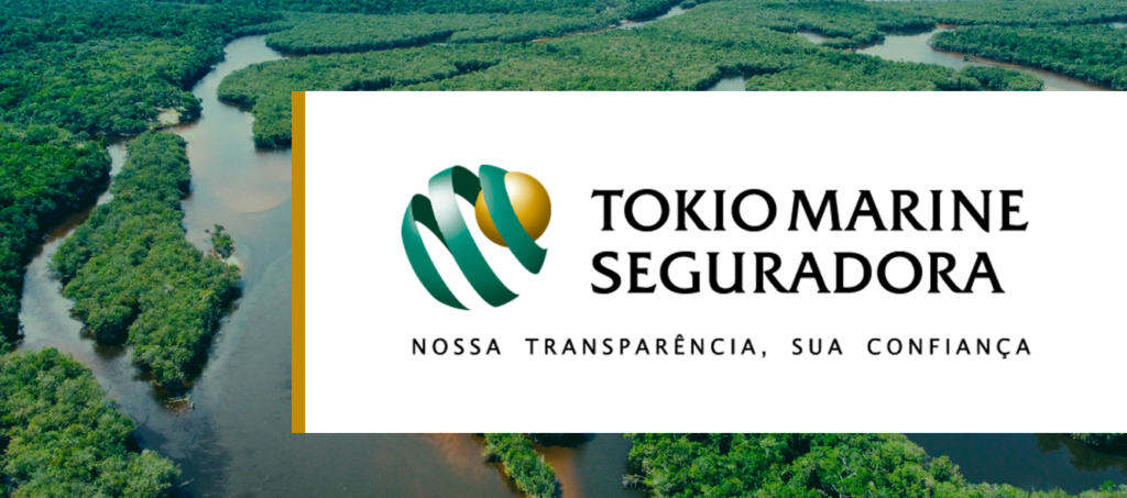 Casa do Seguro vai liderar discussões sobre papel do setor no debate sobre mudanças climáticas na COP30, avalia diretora da Tokio Marine