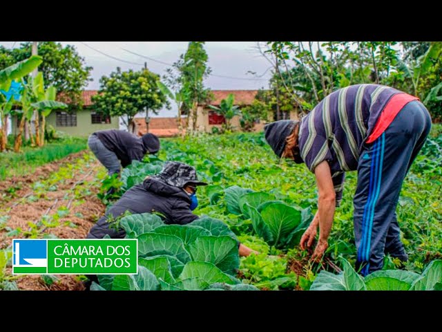 FenSeg participa de audiência no Congresso sobre o futuro do Proagro e do Seguro Rural
