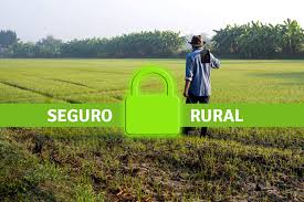 Seguro agrícola digital é a transformação que o agro precisa