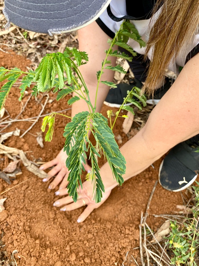 MetLife publica relatório anual de sustentabilidade