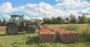 O agronegócio representa 23,2% do PIB nacional. Créditos da Imagem: Canva